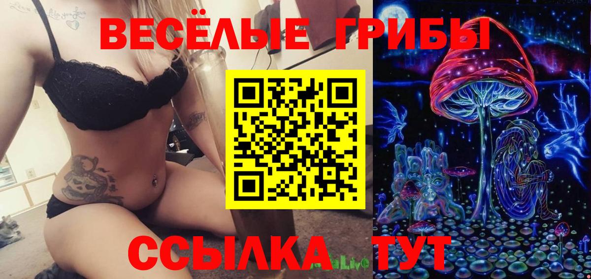 Псилоцибиновые грибы GOLDEN TEACHER  Вход с VPN  Калач-на-Дону 